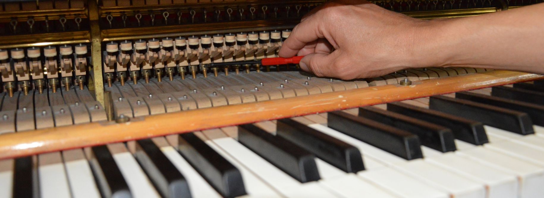 Klavierstimmer Klavierbauer Südtirol Peter Plaschke